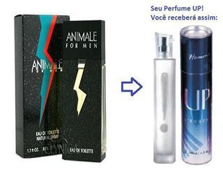 UP!43 - ANIMALE